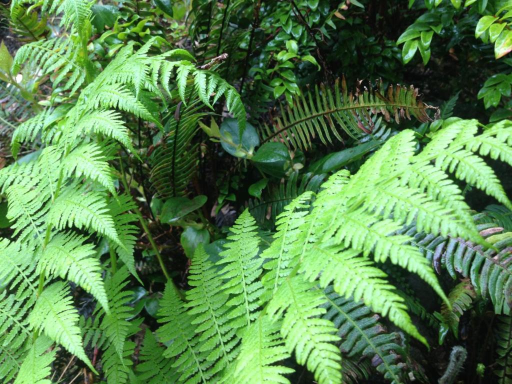 اوكلويلت Hyphocus Inn المظهر الخارجي الصورة
